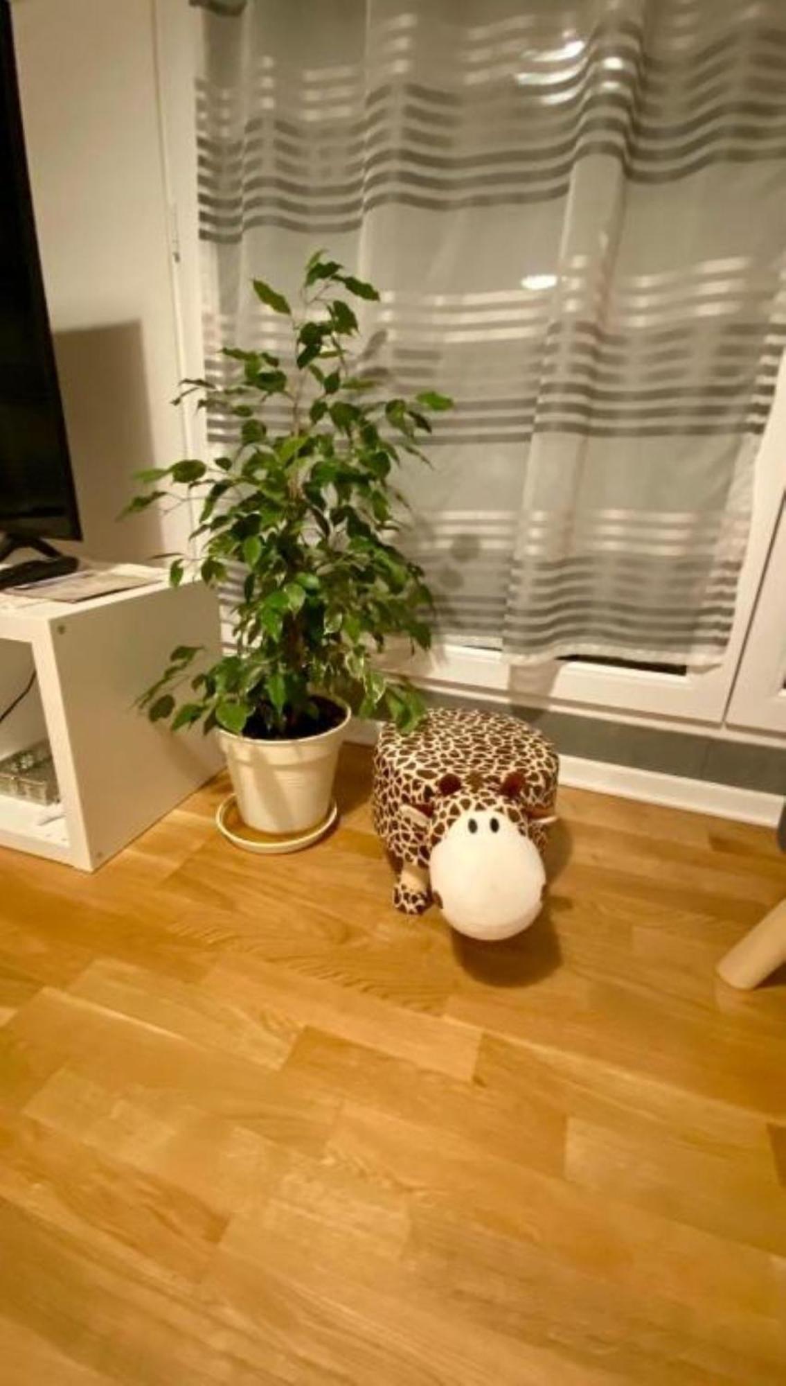 Schoenes Erwachen Im Frankfurter Penthouse Frankfurt am Main Eksteriør billede